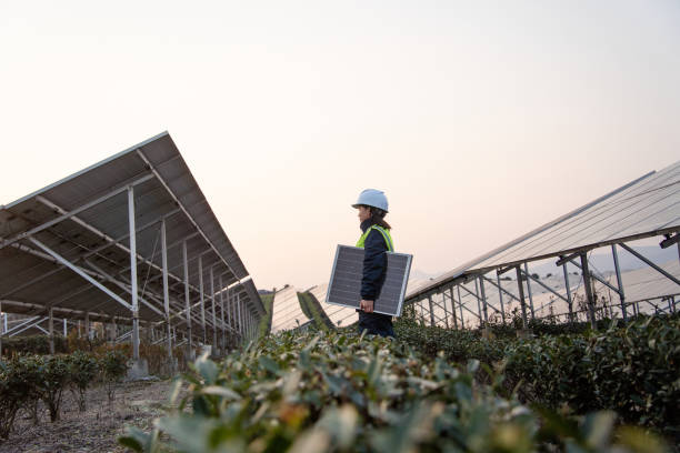 istock asian female working in solar power station 2191035897