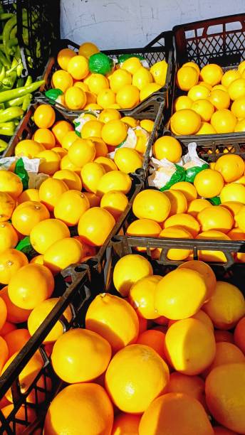 istock orange stall in the market 2191036418