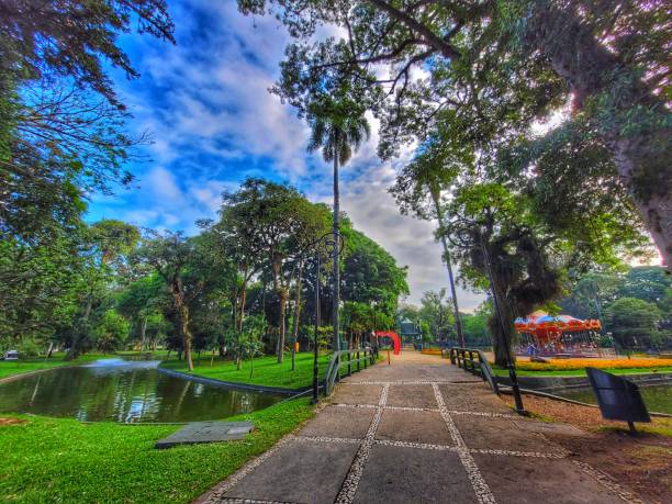 large green area with beautiful trees and a beautiful lake with a fountain and charming bridge on a sunny day with blue skies in the public park called Passeio Publico located in the city center of Curitiba, capital of the state of Paraná, Brazil gran área verde con hermosos árboles y un hermoso lago con una fuente y un encantador puente en un día soleado con cielos azules en el parque público llamado passeio publico ubicado en el centro de la ciudad de curitiba, capital del estado de paraná,