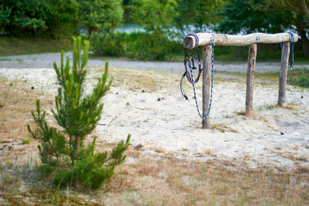 Tethering place (Anbindeplatz) with bridle for horses. Device for securing animals. Construction of wood on sand in the forest.