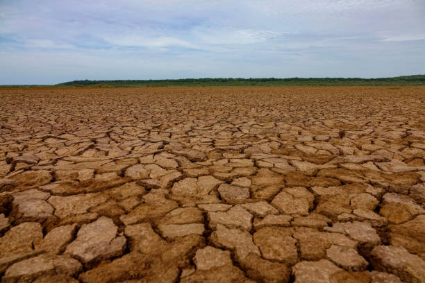 istock CLOSE UP, DOF: Parched landscape with striking pattern in Sarigua National Park 2191039018