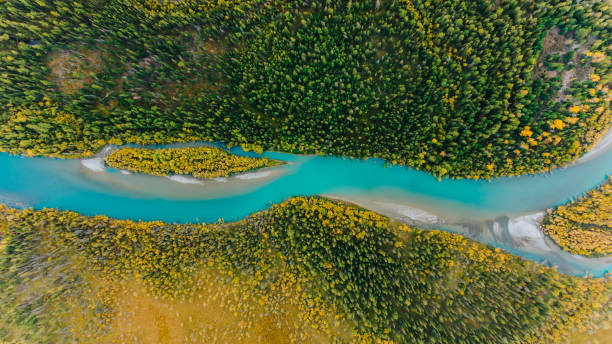 istock Turquoise river flowing through lush green and yellow forest 2191039056
