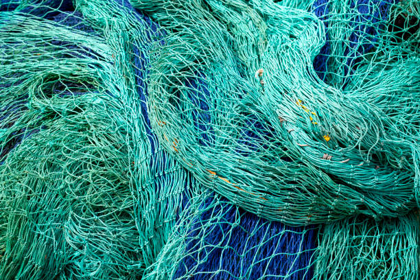 Fischernetze in einem Hafen an der Ostsee