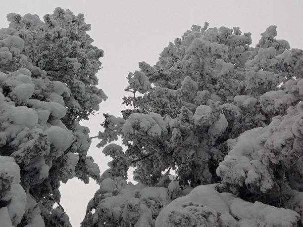 Dramatic landscape at extreme cold weather