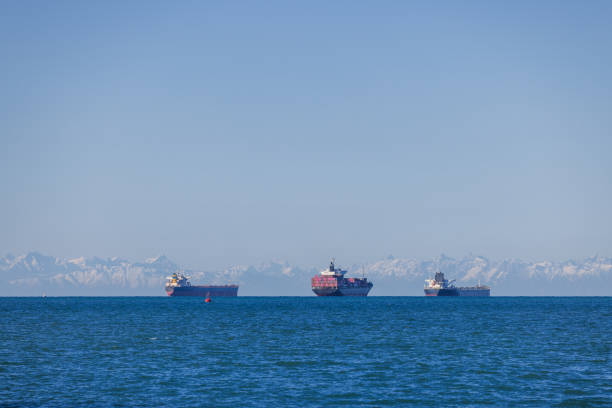 A serene view of three cargo ships floating on the open sea, set against a backdrop of snow-capped mountains under a clear blue sky. This image represents global trade, maritime logistics, and the beauty of international shipping routes.