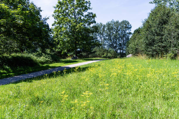 istock A beautiful and scenic green pathway that winds through vibrant fields filled with lush trees 2191048062
