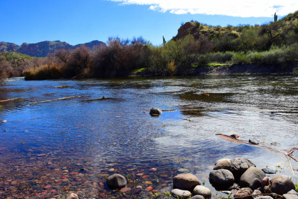 istock Salt River Recreation Area Arizona 2191048981