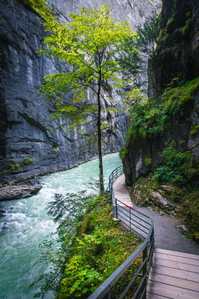 istock Hiking footbridge with Aare river in the Aare gorge 2191054527