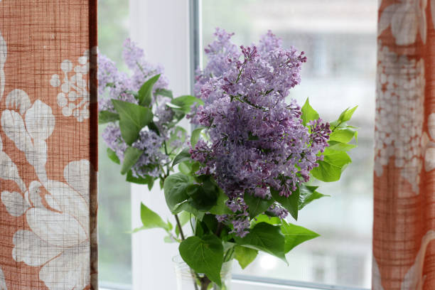 istock beautiful lilac flower on a blurred background. 2191054737