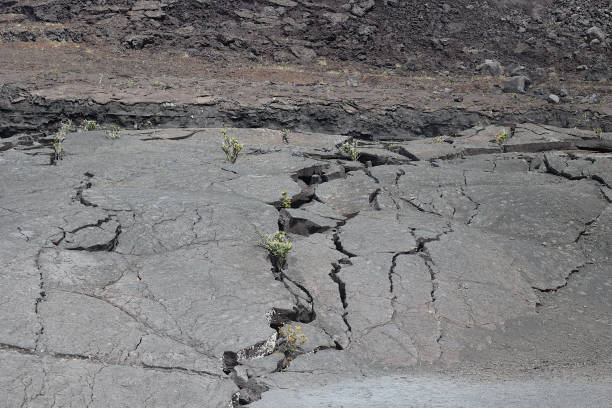The bottom of Kilauea crater is a smooth molten lava surface occasionally marked by fissures created during cooling.  This type of volcano has its lava pot slowly cool down rather than an explosive Mount Saint-Helens type volcano.