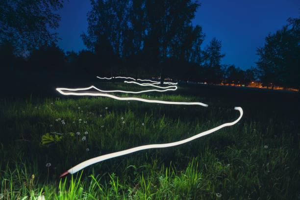 istock Light trails over grassy field at night in a park 2191058649