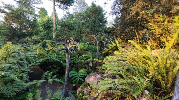 istock Botanic Gardens Singapore 2191061265