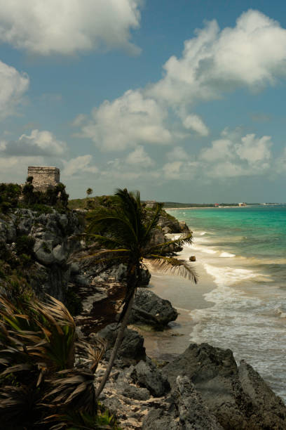 Tulum ruin peeking out of plants along the Caribbean Sea coast on a sunny day, Tulum, Mexico, North AMerica