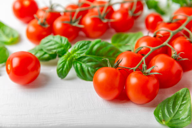Fresh cherry tomatoes and fresh green basil on a textured background. Tomato sauce. Vegan. Ingredients for salad. Organic food. Place for text. Copy space.