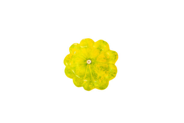 Pattypan zucchini isolated on white background. squash. Fresh organic pattypan squashes on background. Vegan. Farmer's Market. Patisson.