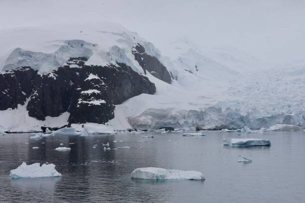 istock Brown station - Antartica 2191064917