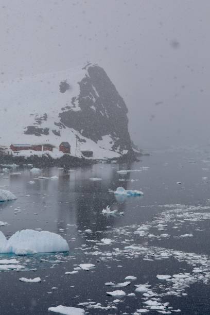 istock Brown station - Antartica 2191064926