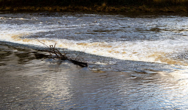 istock Driftwood on River Dee weir, Chester, Cheshire, England, Britain 2191068985