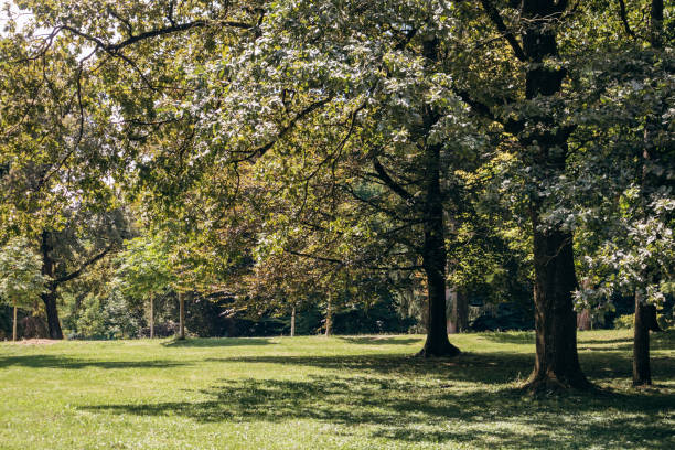 istock Tivoli Park, the largest green space in Ljubljana 2191069197