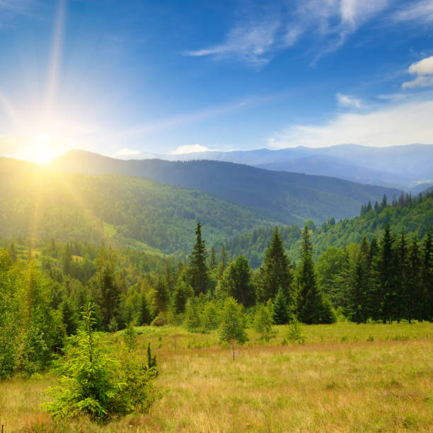 istock Wonderful sunset in the Carpathians. 2191070679