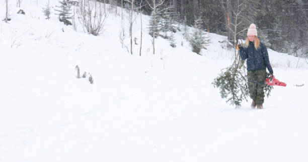 istock Young woman carries Christmas tree boughs, while it snows gently 2191072074