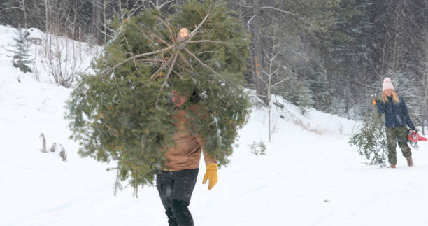 istock Friends carry Christmas tree after chopping, while it snows gently 2191072086