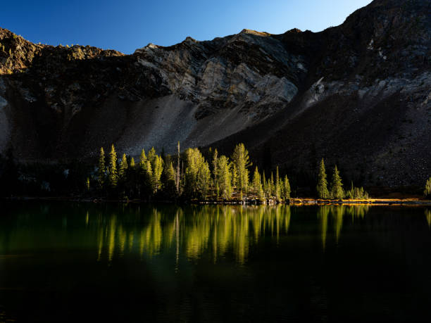 istock Island of pine trees illuminated by the setting sun 2191073734