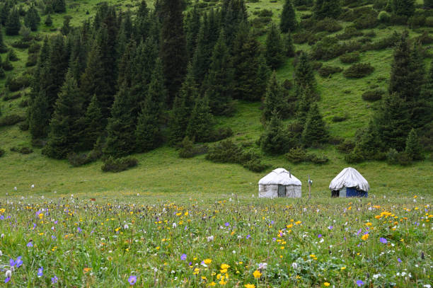 istock Mountains views of meadows and rivers on a summer cloudy day 2191074605