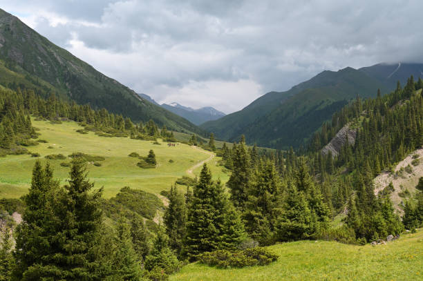 istock Mountains views of meadows and rivers on a summer cloudy day 2191074636