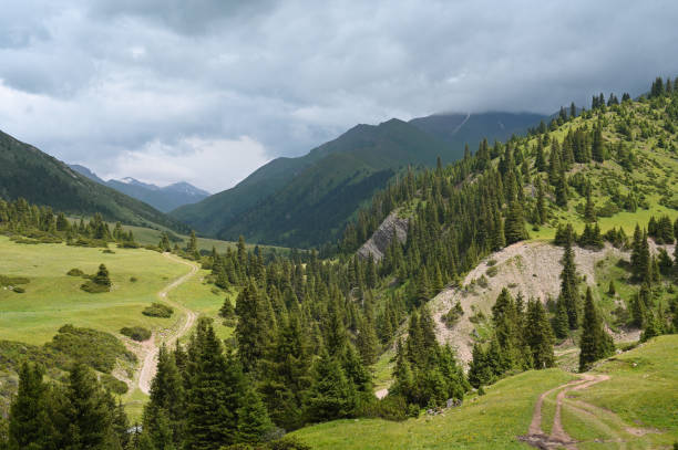 istock Mountains views of meadows and rivers on a summer cloudy day 2191074638