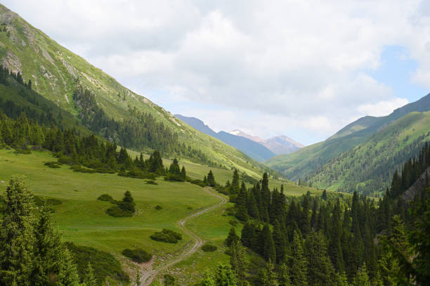 istock Mountains views of meadows and rivers on a summer cloudy day 2191074696