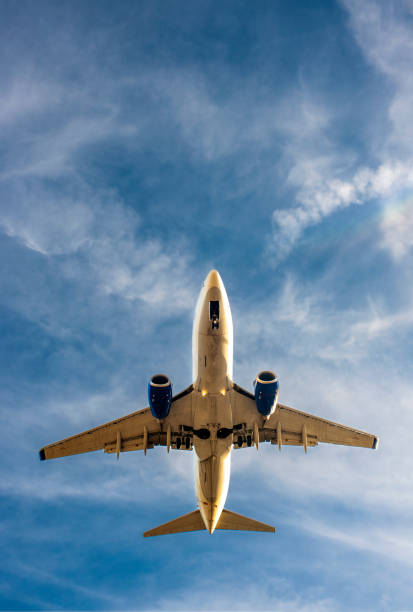 istock Airplane landing at sunset 2191081912