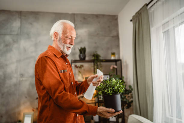 istock senior man take care of home plants and use spray to hydration 2191085113