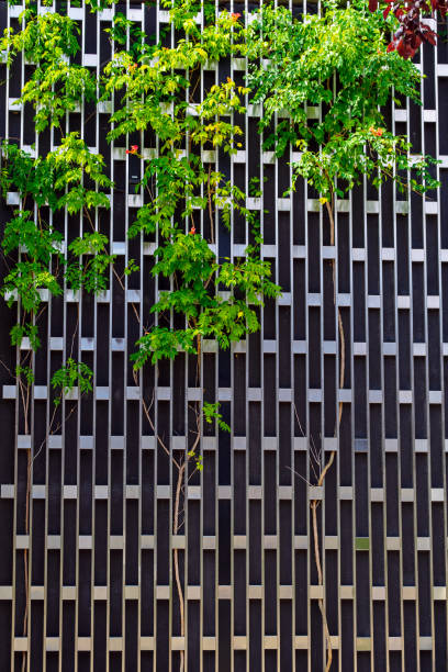 istock fence decoration net and liana green vertical landscaping 2191085534