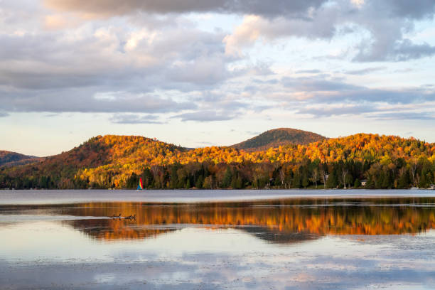 istock Fall colors at Lake Superior 2191087773