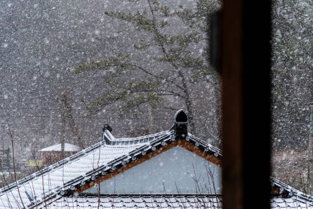 winter scene