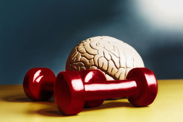 istock Healthy body, healthy mind! Brain with dumb bell weights 2191096084