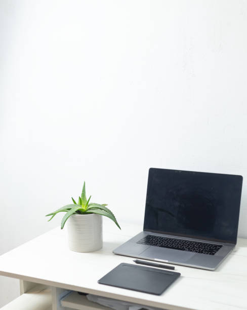 istock a workplace with a flower pot, a laptop, a graphic tablet and a stylus 2191097040