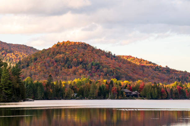 Fall colors at Lake Superior, Quebec, Canada