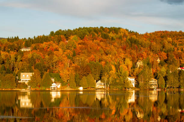 istock Fall colors at Lake Superior 2191097087