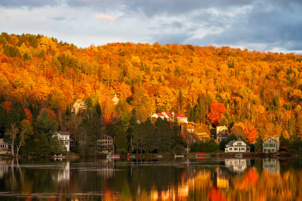 istock Fall colors at Lake Superior 2191097117