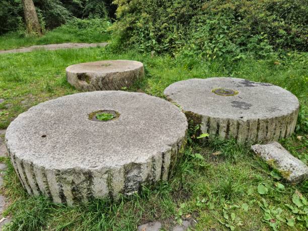 Old millstone in front of  Peldemuehle Jemgum, East Frisia, Lower Saxony, Germany