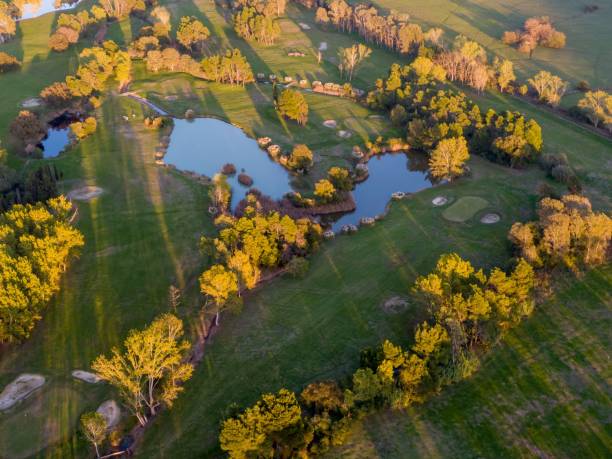 istock Aerial view of a lush golf course at sunset. 2191104596
