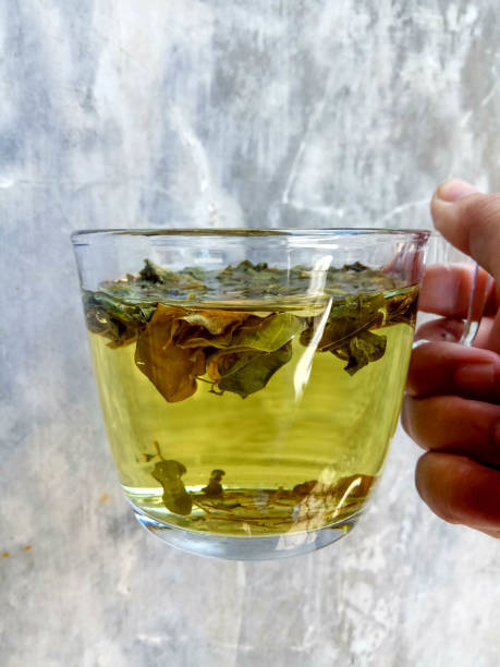 istock Moringa oleifera as herbal tea, inside transparent glass, hold by hand 2191107673