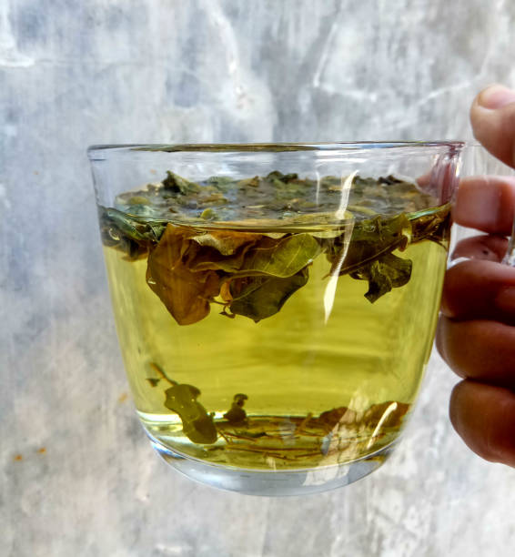 istock Moringa oleifera as herbal tea, inside transparent glass, hold by hand 2191107675