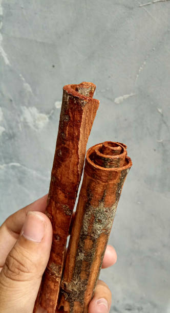 istock Ahand holding cinnamon sticks or Cinnamomum cassia 2191108358