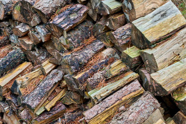 Close-up depiction of an outdoor stack of split firewood logs with visible bark and textures, showcasing natural materials and rustic elements ideal for fuel or rural settings.