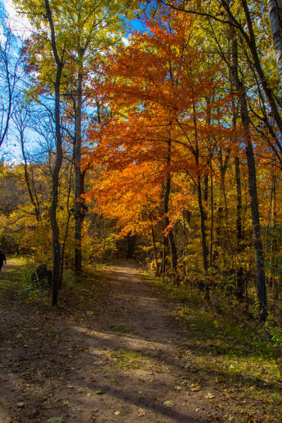 Beauty of the fall color at the Willam O'Brien State Park in Minnesota