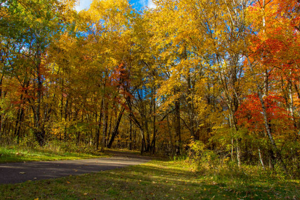 Beauty of the fall color at the Willam O'Brien State Park in Minnesota