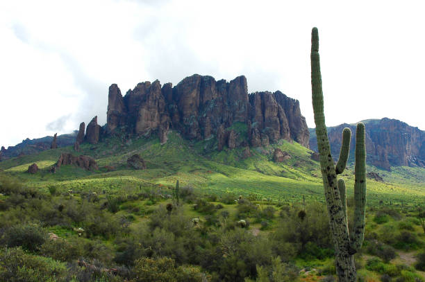 istock cactus and mountains in wild area in Phoenix 2191120278